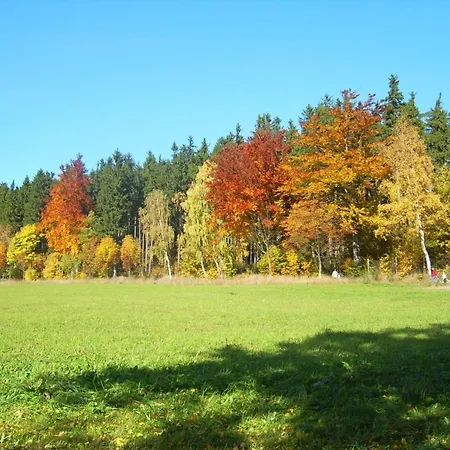 Am Wald * Augsburg